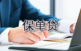 衡阳保单贷