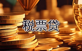 衡阳税票贷